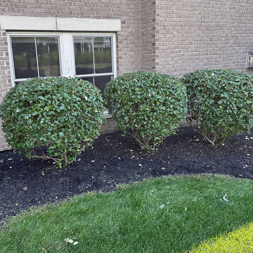 Superior Landscape,&nbsp;Indianapolis