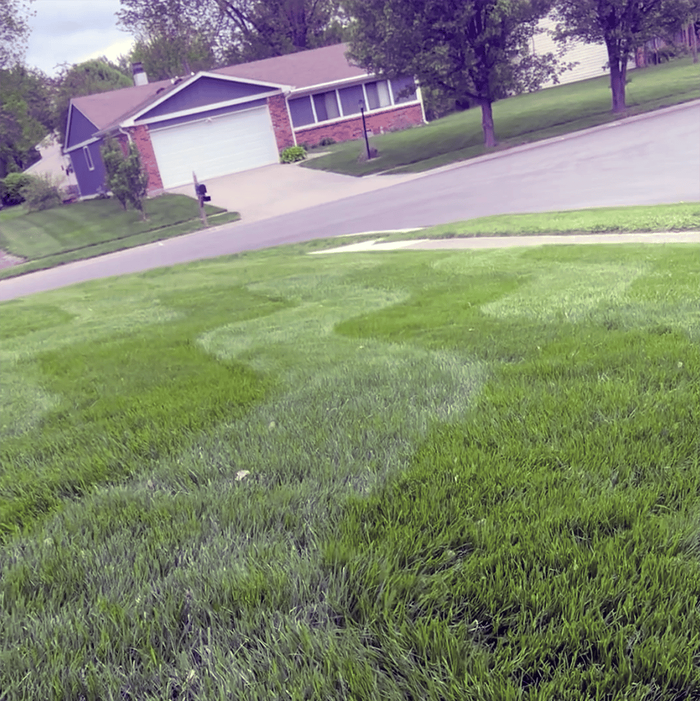 Superior Landscape Indianapolis