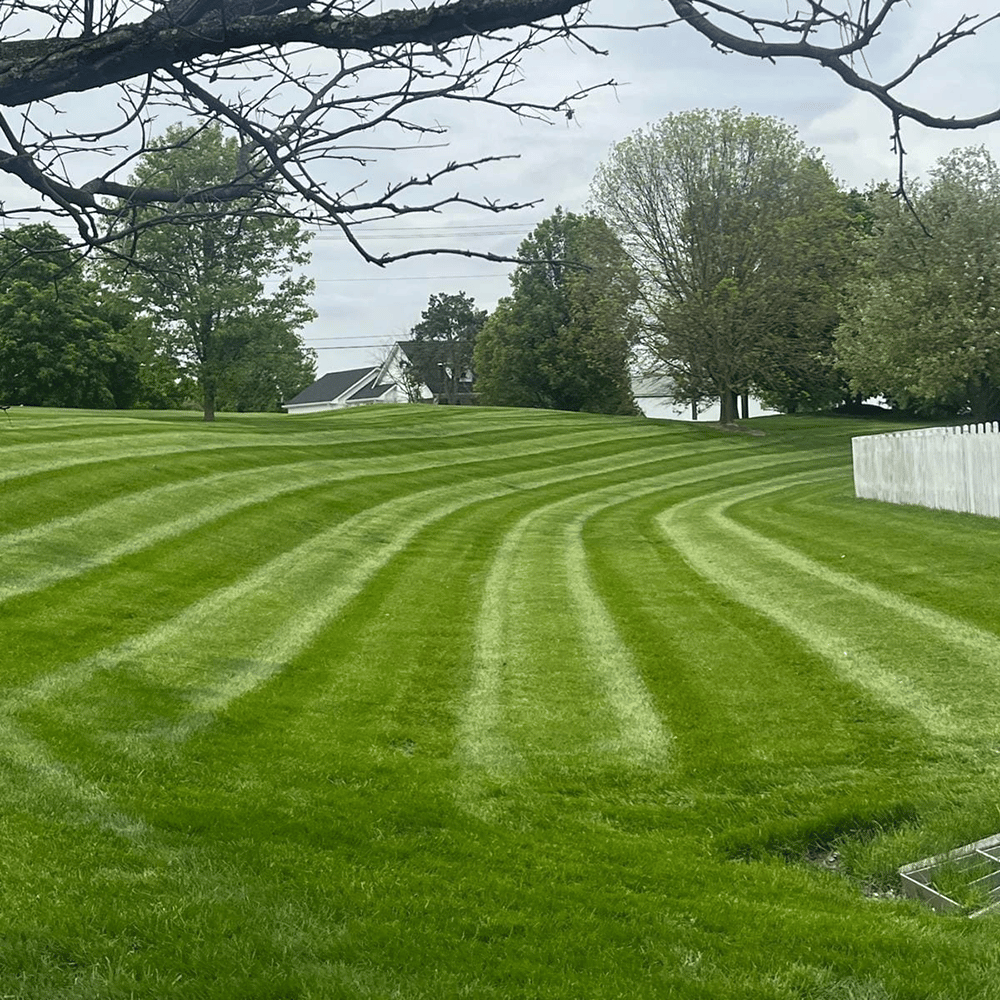 Superior Landscape,&nbsp;Indianapolis