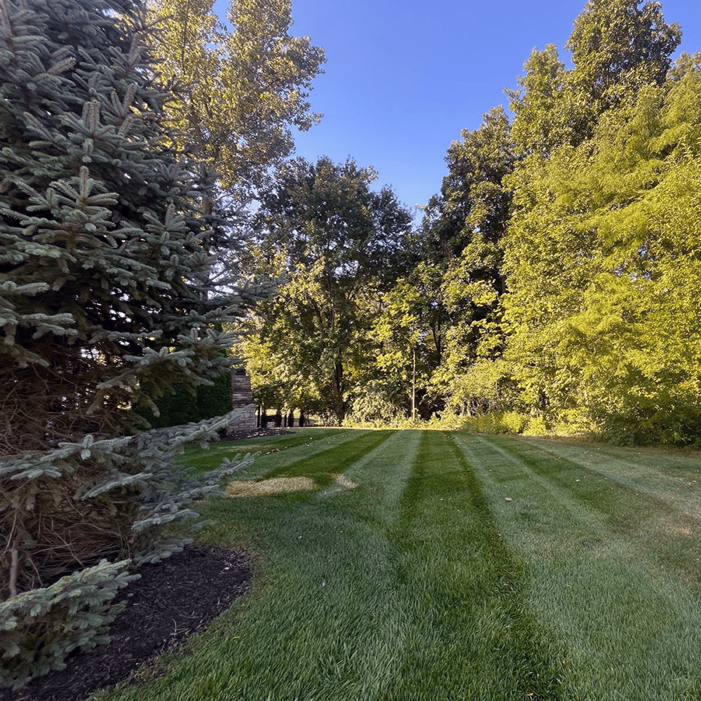 Superior Landscape,&nbsp;Indianapolis