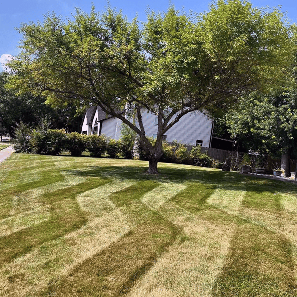 Superior Landscape Indianapolis