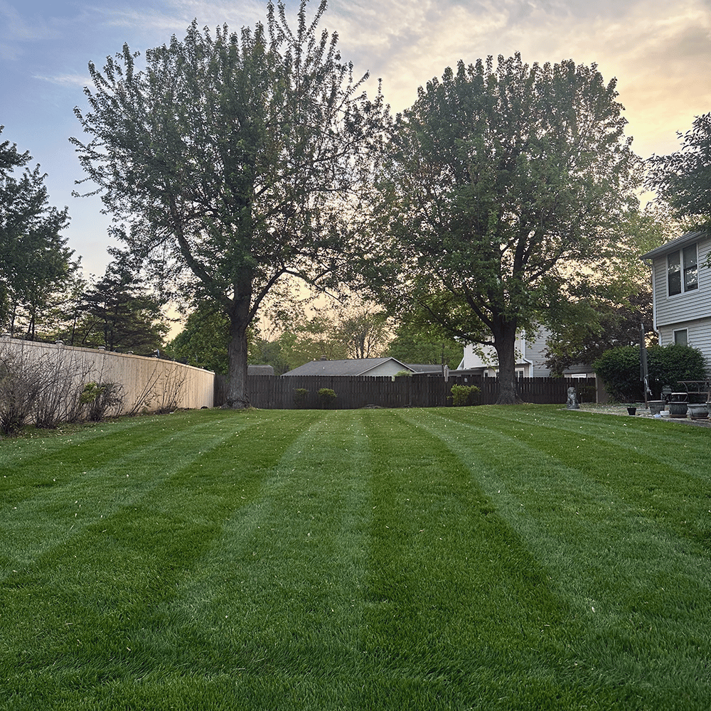 Superior Landscape Indianapolis